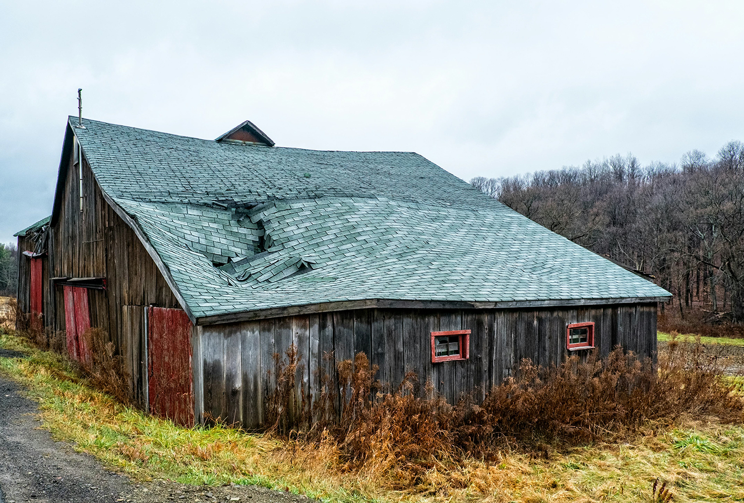 damaged shingles